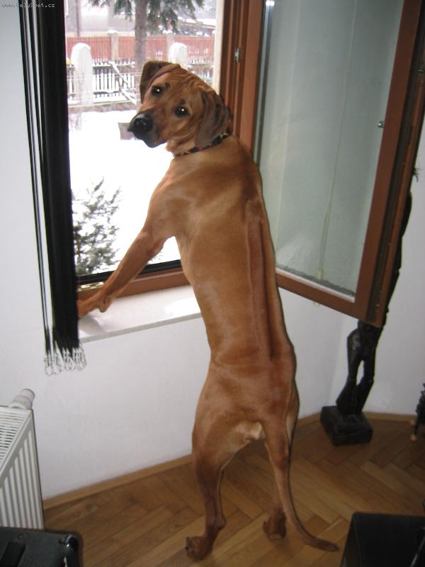 Foto: Boende-jsem dobr� hl�da�