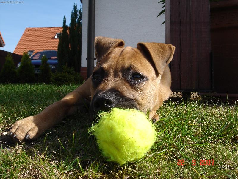 Foto: Pr�ek-tenis taky budu hr�t