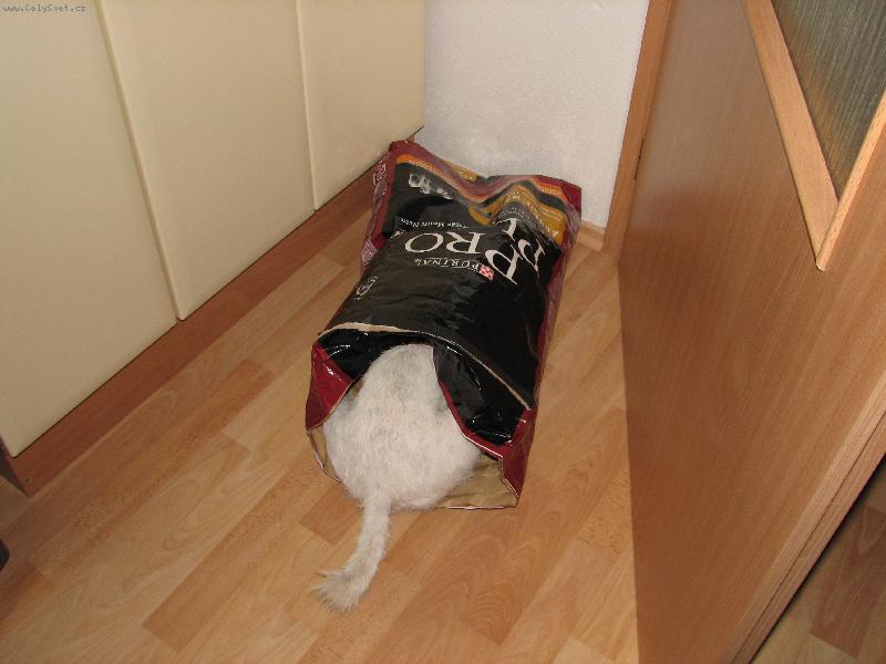 Foto: do�ly granulky :)