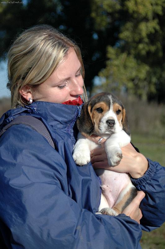 Foto: Bil��ek-Bil��ek