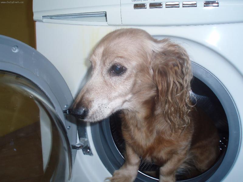 Foto: Jeffik-Velk� pr�dlo