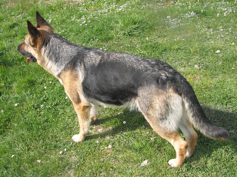 Foto: Rorynka-kr�savica