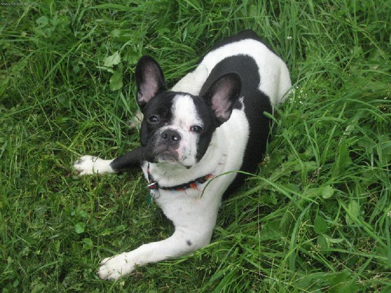 Foto: Na chaloupce-Na chaloupce