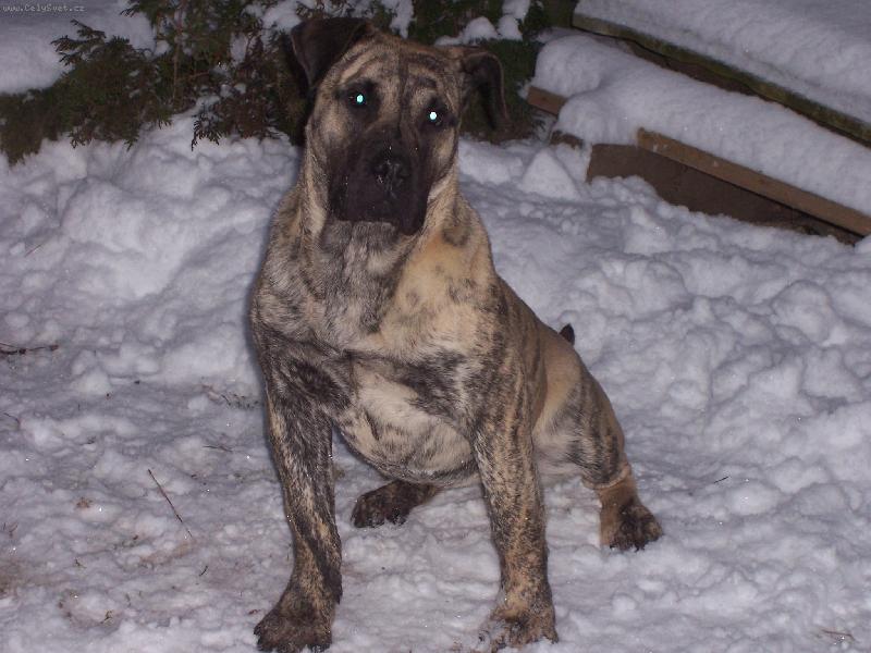 Foto: Mona Chamjan-6 m�s.