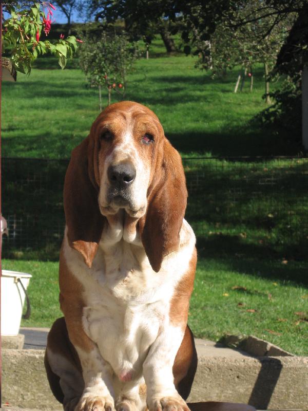 Foto: (Milou�)-Ar��