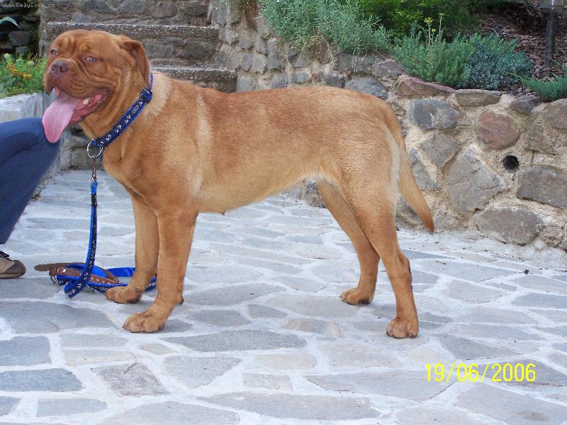 Foto: Juliette Simone Bordo