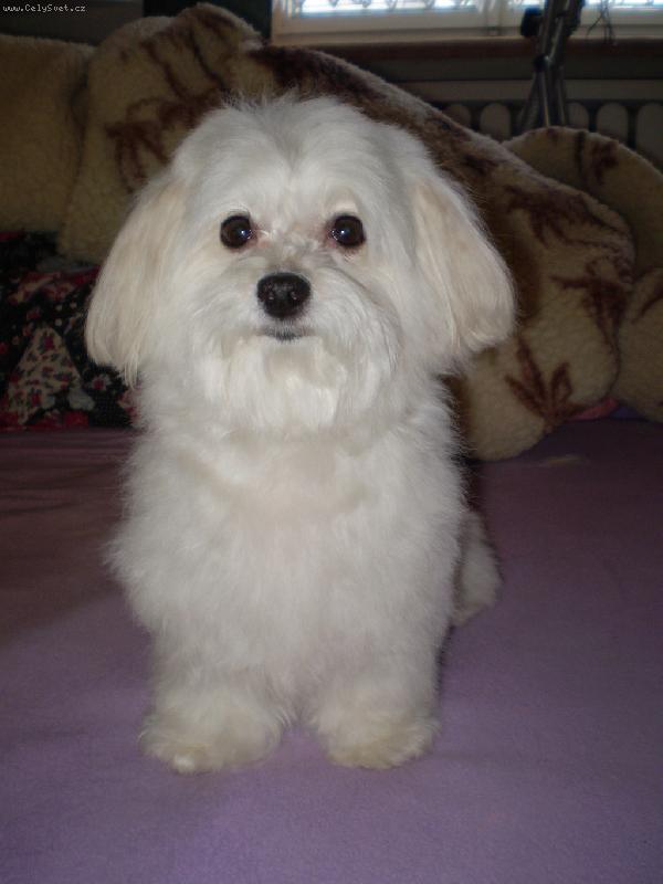 Foto: na�e Bety-na�e Bety