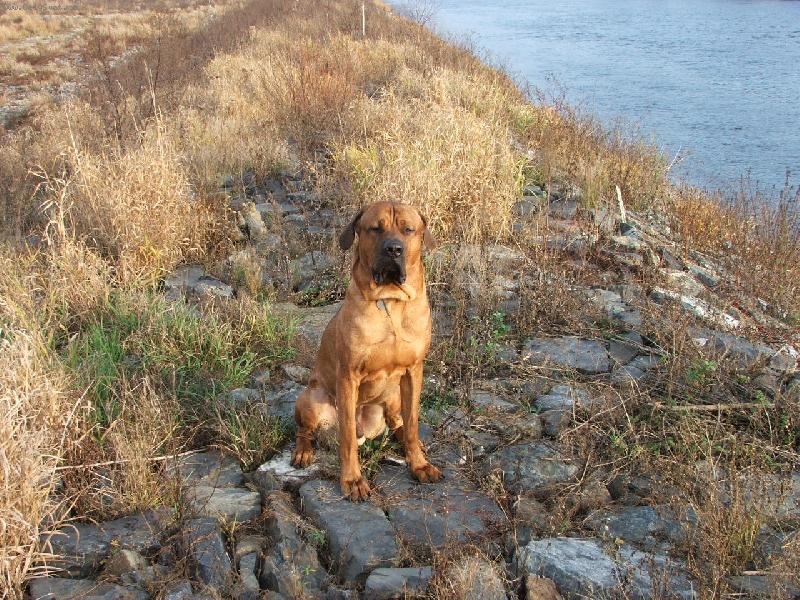 Foto: Mil��ek Rubby