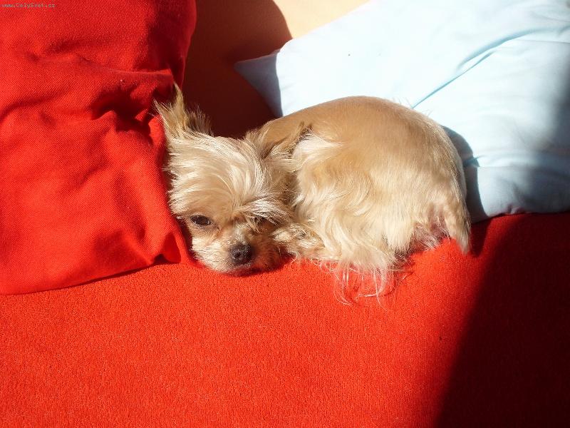 Foto: Neru�it vyh��v�m se