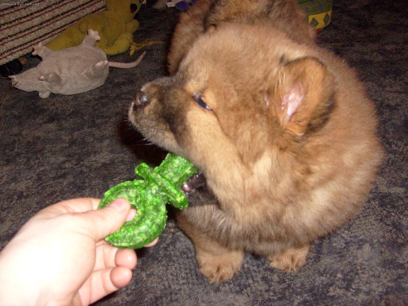 Foto: Jonita Haltrava