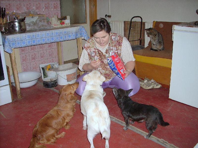 Foto: krmen�-pamlsky