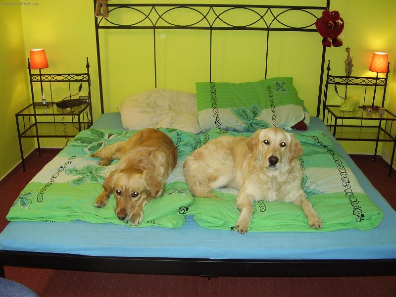 Foto: Ai�ka a Nuggi-Tady dnes sp�me my...