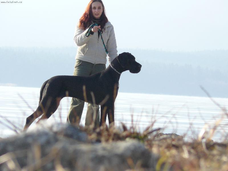 Foto: K�rass z Josefovsk�ch bud-K�rass z Josefovsk�ch bud