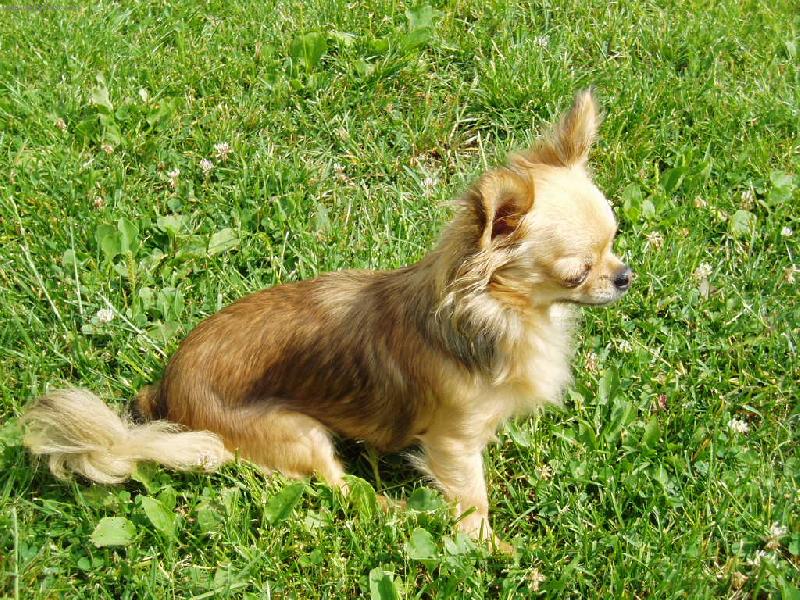 Foto: Beyla Svinovsk� pahorek