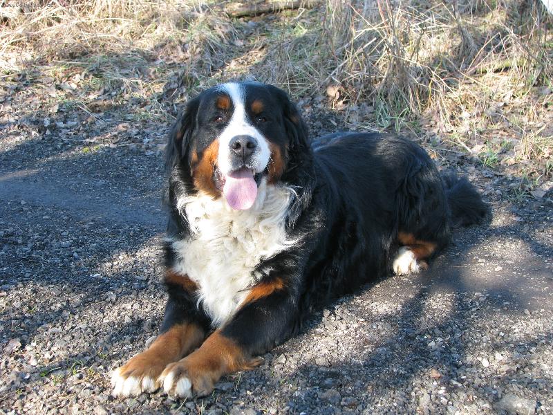 Foto: Jim le��:o)