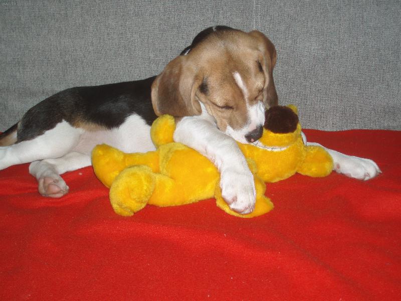 Foto: Aira-d� mi pusu?