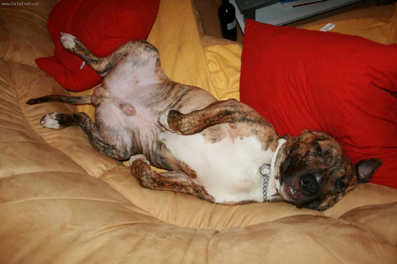 Foto: Hlavn� nic ned�lat