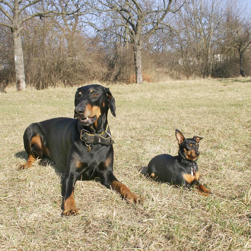 Foto: Mal� - velk�-P��tel�