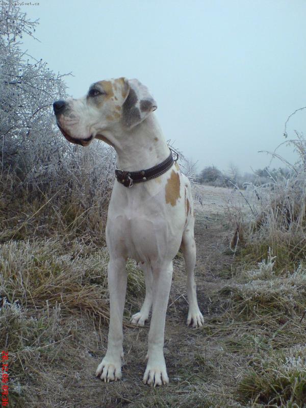 Foto: brejzi-mraziv� r�no