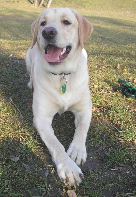 Foto: Brita-9-m�s�c�