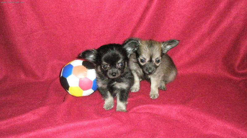 Foto: Ka�enky miminko