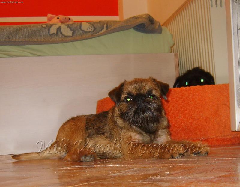 Foto: Mili Vanili Roxmavel