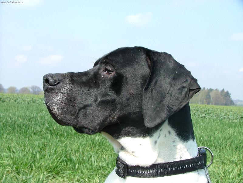 Foto: Don ze �t�pek-Don ze �t�pek