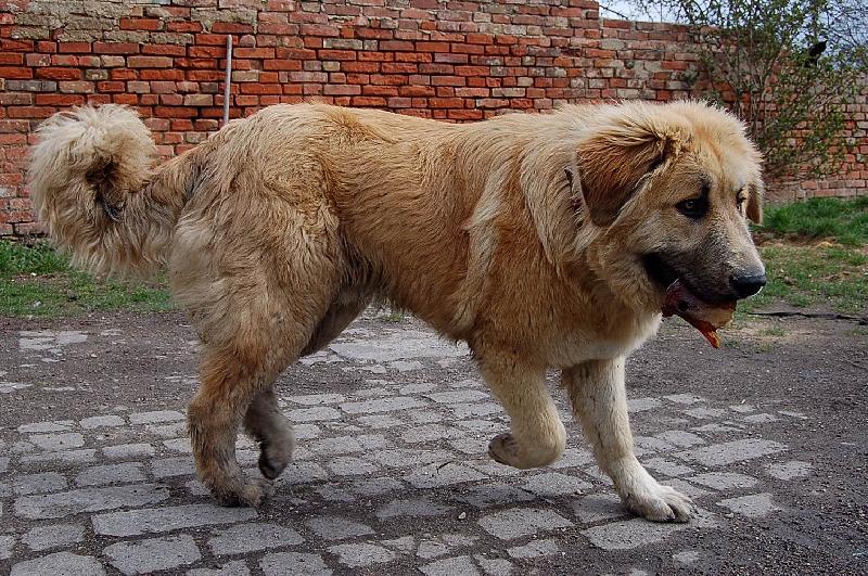 Foto: arch�-7 m�s�c�