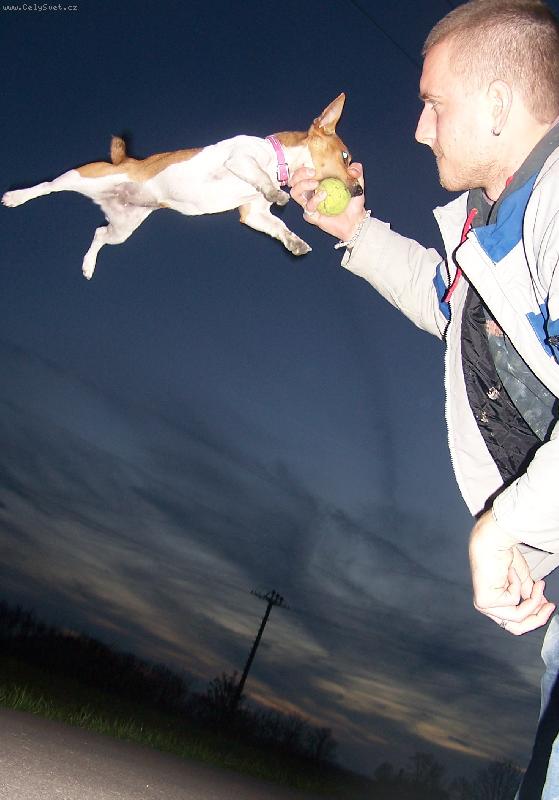 Foto: l�taj�c� Amy