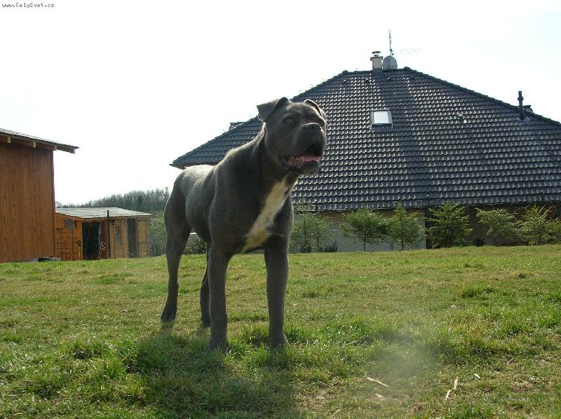 Foto: Jo��k m� deset m�s�c�