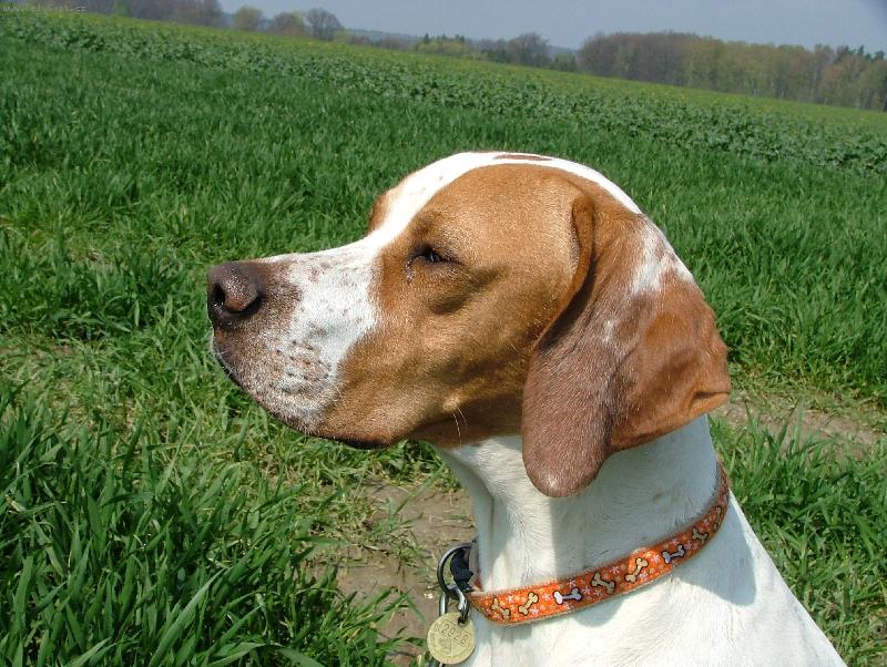 Foto: Debbie ze �t�pek-Debbie ze �t�pek