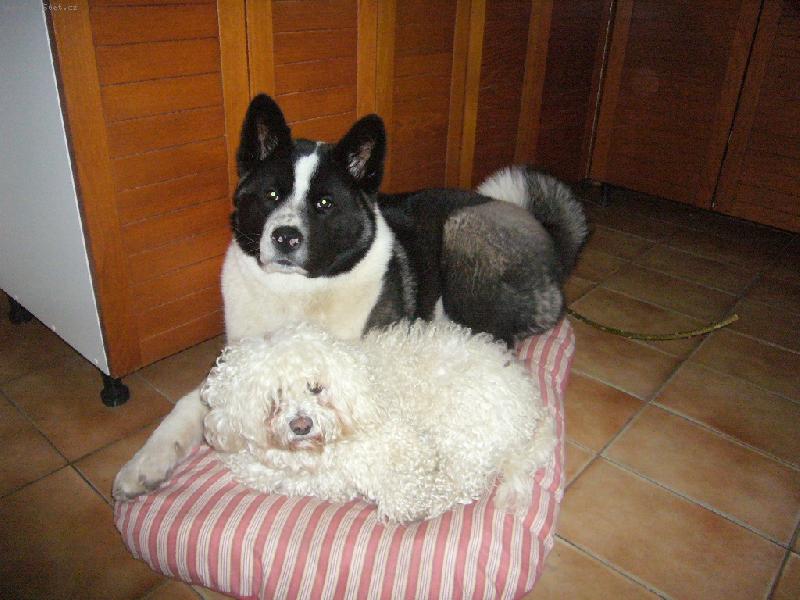 Foto: ARTABAN-ARTABAN