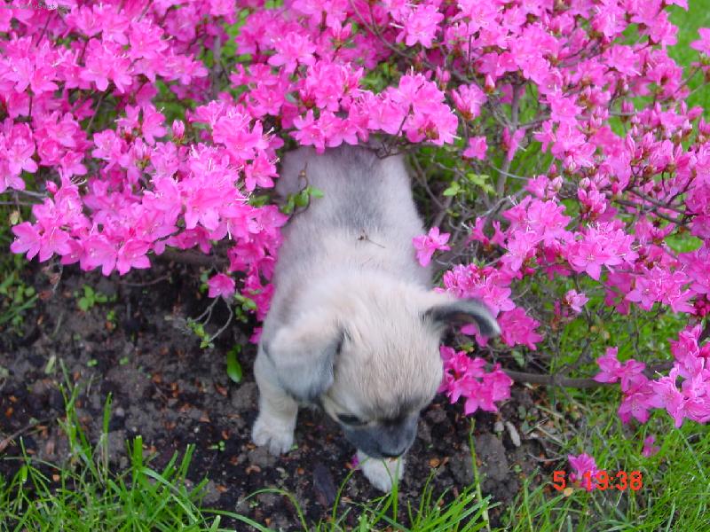 Foto: jak se odsu� dostanu?