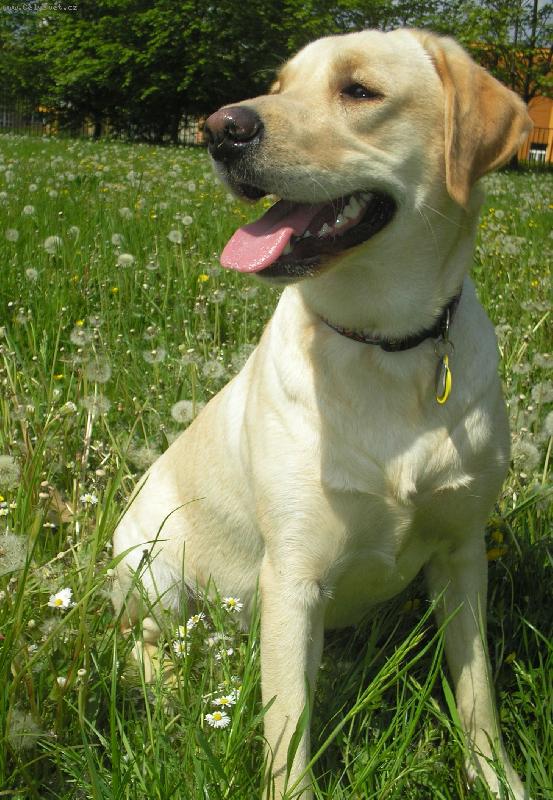 Foto: Britu�ka-11-m�s�c�