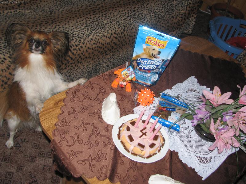 Foto: Atilla Nabuko-oslava