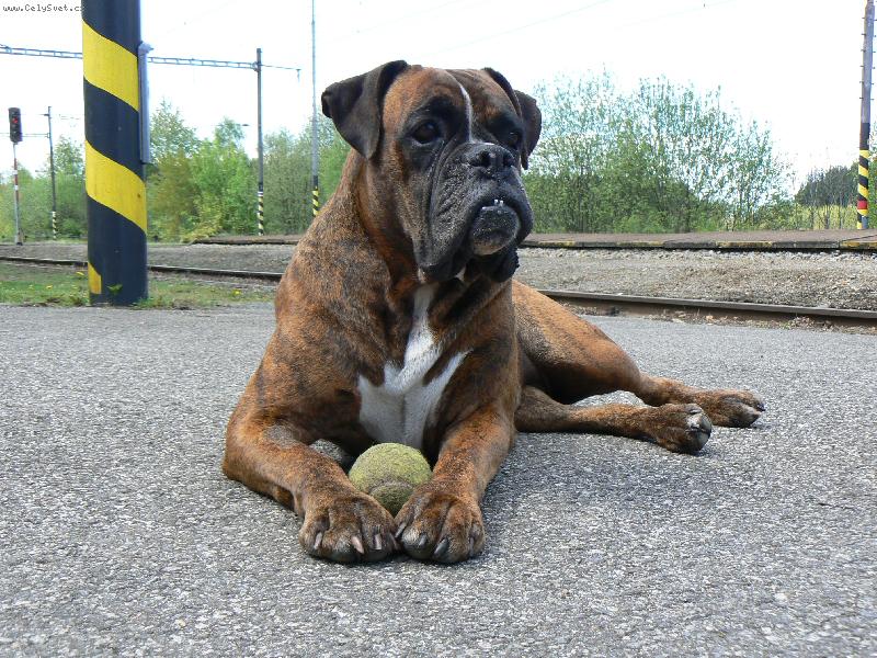 Foto: Blondy v Popel�n�