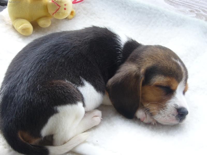 Foto: Niky hooodn� mali�k�