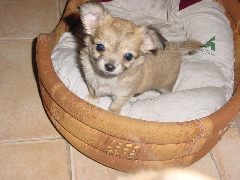 Foto: jsem u� velkej kluk