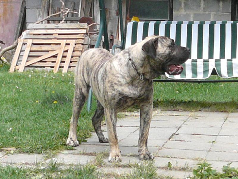 Foto: MagoZ Chamjan-10m�s.