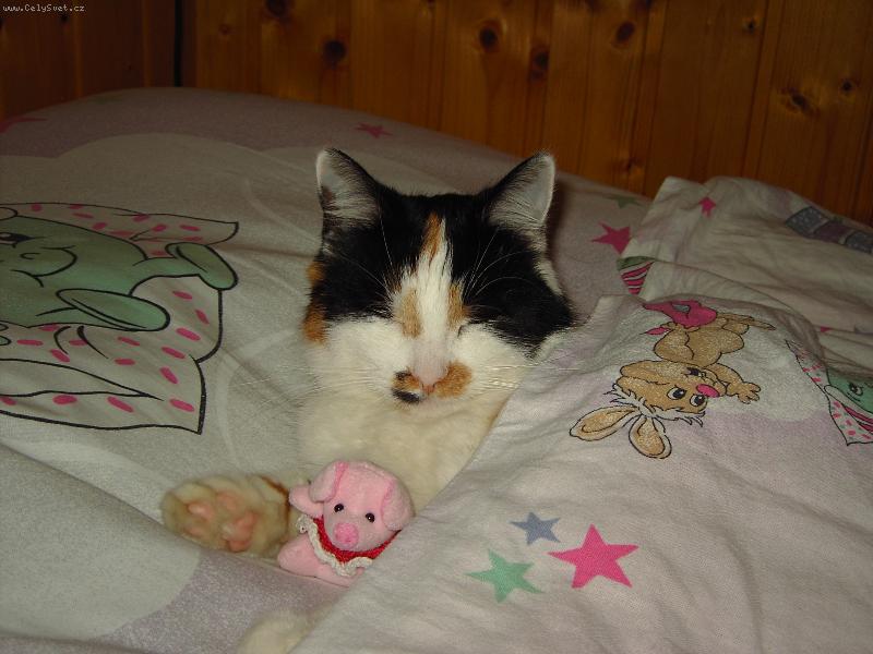 Foto: L�zinka-Dobrou noc