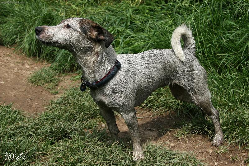 Foto: Pras�tko Annie