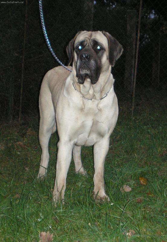 Foto: Hanach Deju Poho�� Anem