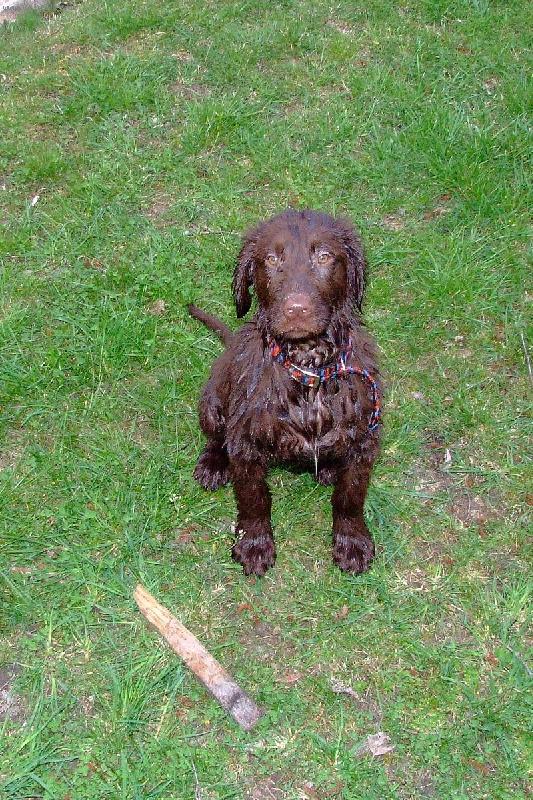 Foto: Arturek-3 a 1/2 m�s�ce