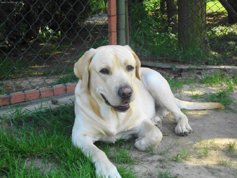 Foto: Max�k-Odpo��v�m