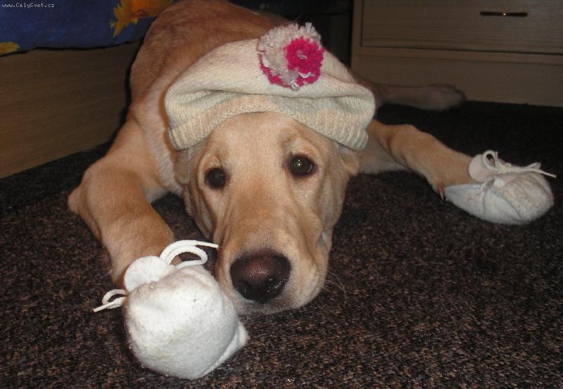 Foto: Tak m� pani�ka vystrojila ...