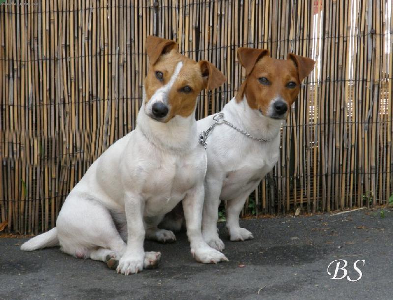 Foto: Kry�tof a Bert�k 7/08-mil��ci