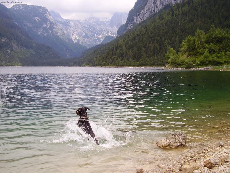 Foto: Dov�a-Muluju vodi�ku!