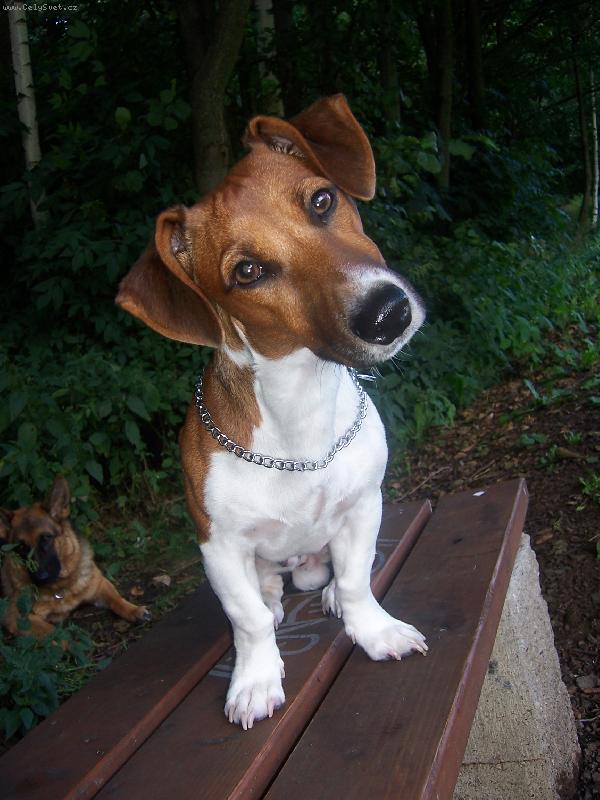 Foto: kuk :o)-Robinek