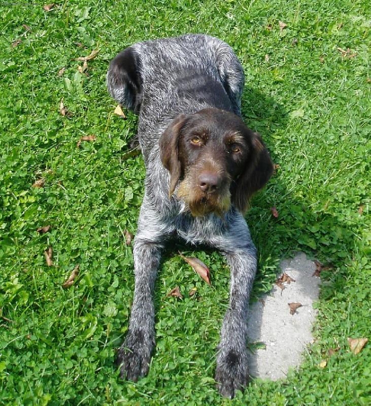 Foto: Una z Kablan�