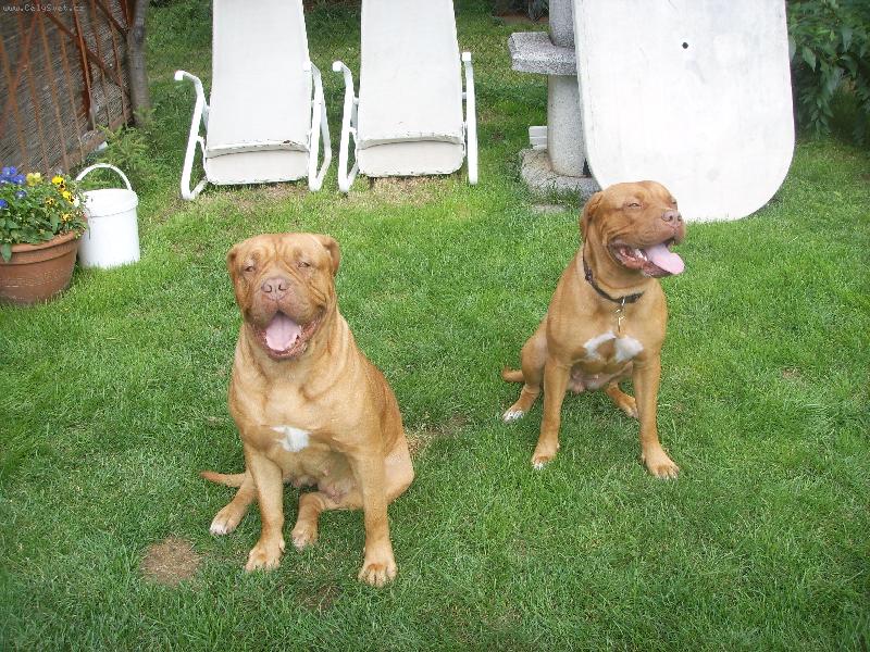 Foto: Atila a Arleta-mamka s dcerou